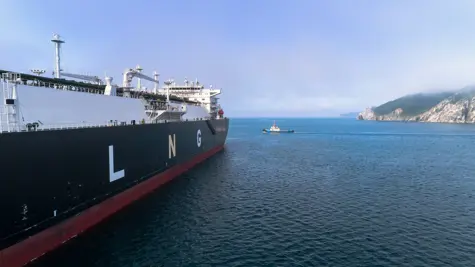 From forest to fleet: how plywood keeps LNG cold at sea