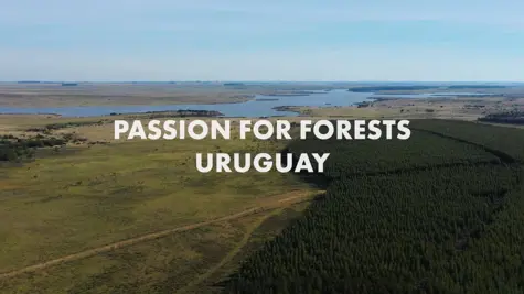 Passion for forests &#x2013; supporting rural communities in Uruguay