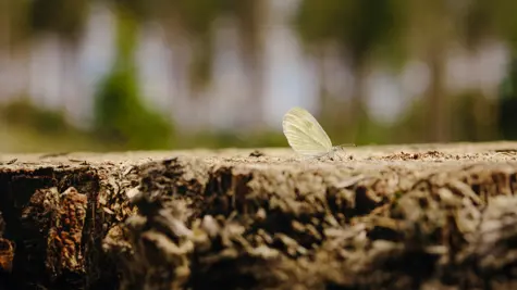 Managing sustainability